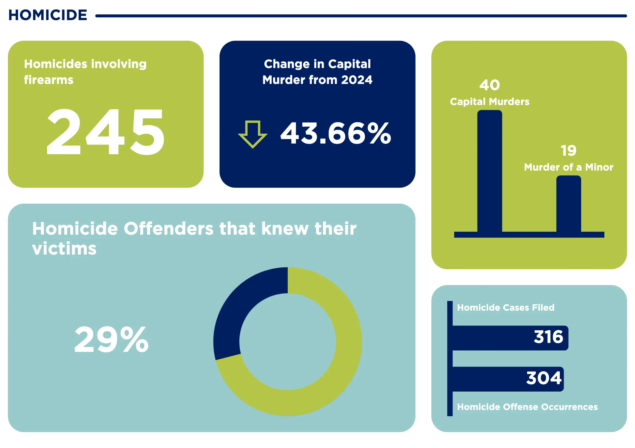 Homicide statistics section